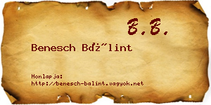 Benesch Bálint névjegykártya